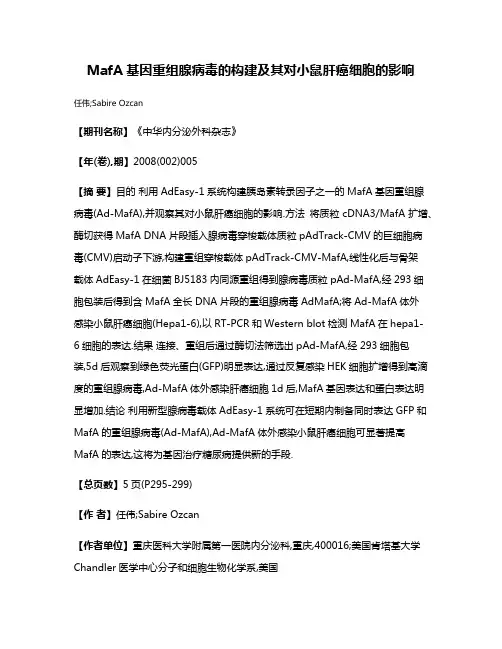 MafA基因重组腺病毒的构建及其对小鼠肝癌细胞的影响
