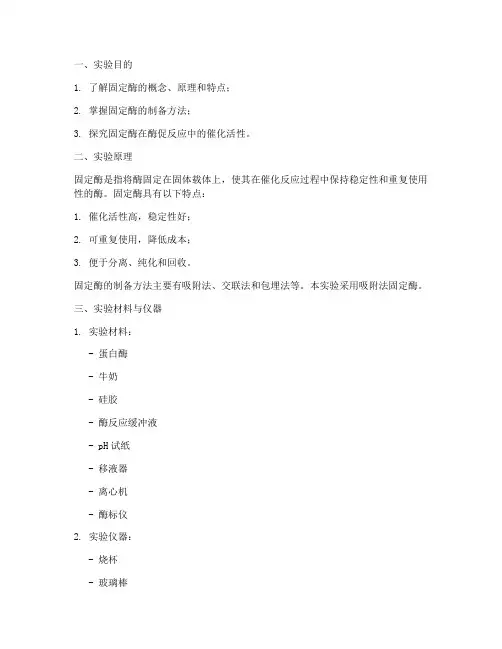 固定酶的实验报告