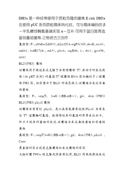 大肠杆菌BL21和DH5α的区别