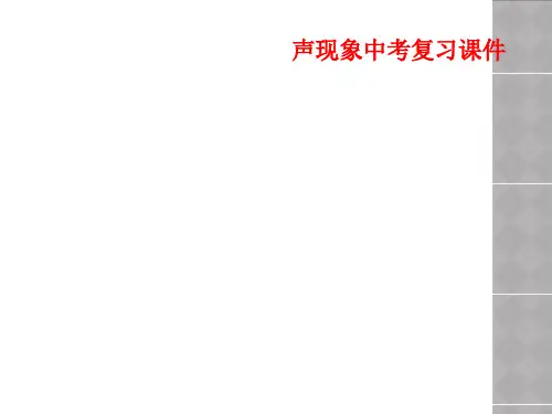 声现象中考复习课件