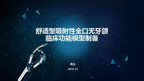舒适型吸附性全口无牙颌