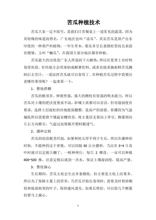 苦瓜种植技术