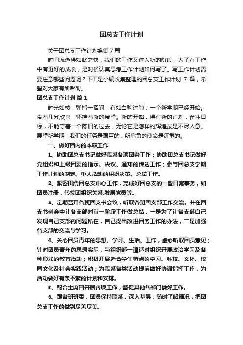 团总支工作计划
