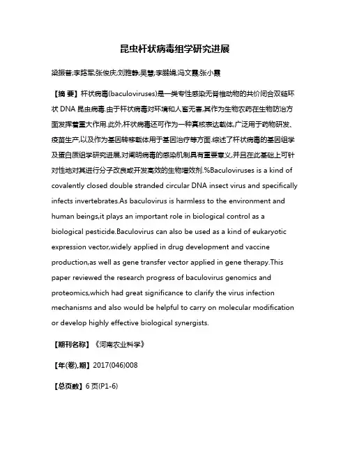 昆虫杆状病毒组学研究进展
