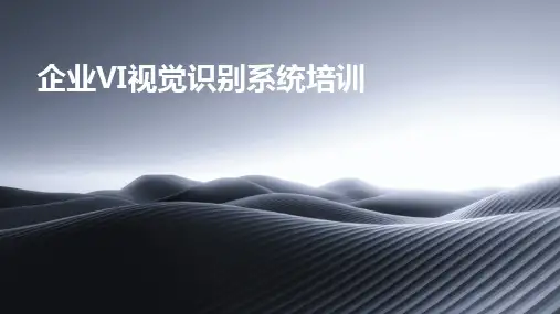 企业VI视觉识别系统培训