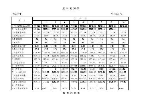 经济评价表_secret