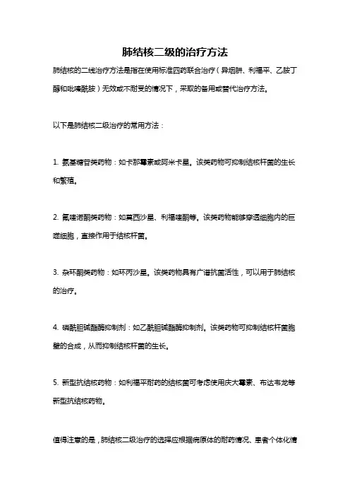 肺结核二级的治疗方法
