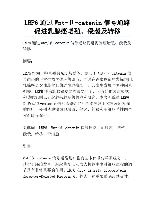 LRP6通过Wnt-β-catenin信号通路促进乳腺癌增殖、侵袭及转移