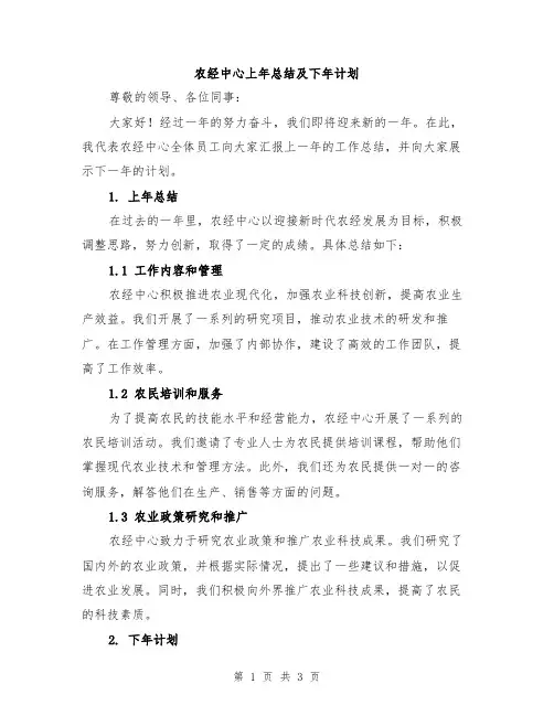 农经中心上年总结及下年计划