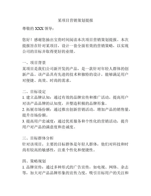 某项目营销策划提报