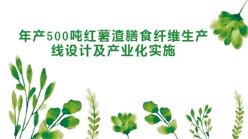 年产500吨红薯渣膳食纤维生产线设计及产业化实施