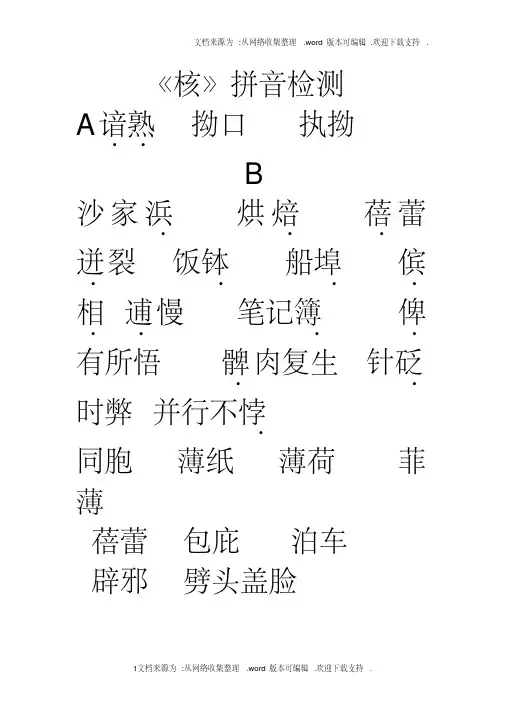 核拼音检测邹汇编