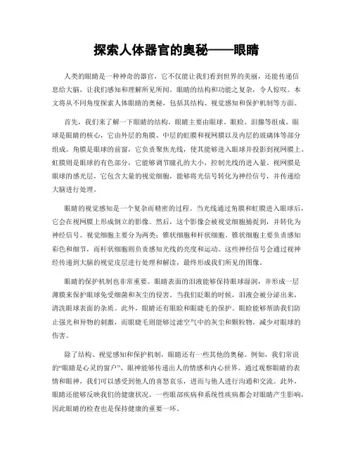 探索人体器官的奥秘——眼睛