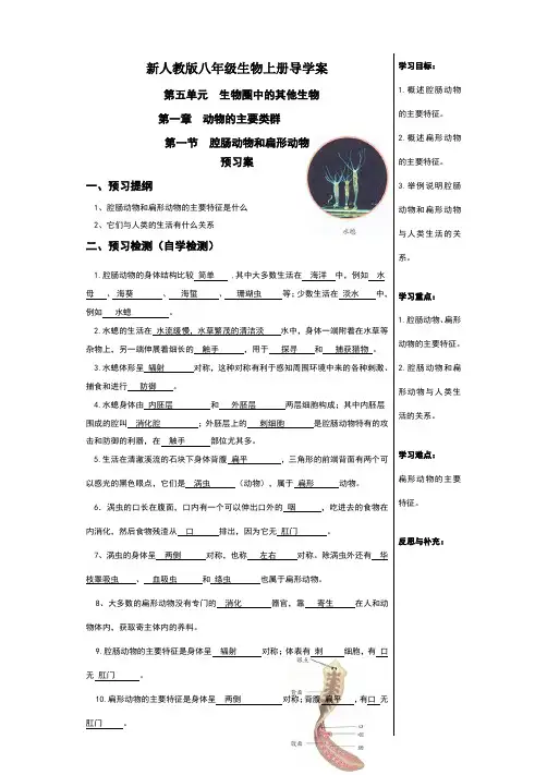 新人教版八年级上册生物导学案及答案