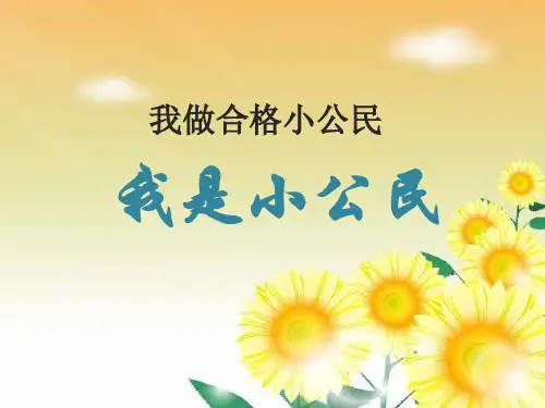五年级上品德与社会-2.4我做合格小公民2｜科教版(共15张)