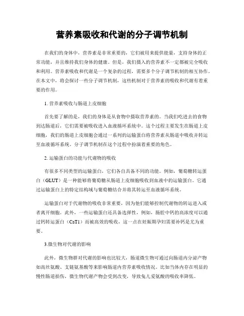 营养素吸收和代谢的分子调节机制