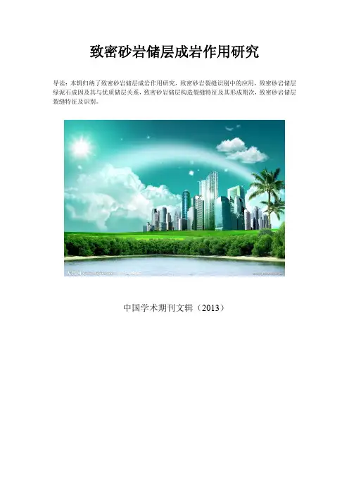 致密砂岩气区地质特征