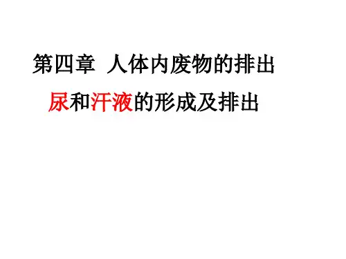 排泄系统资料讲解