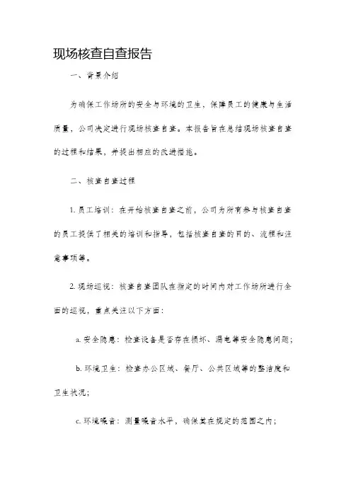 现场核查自查报告