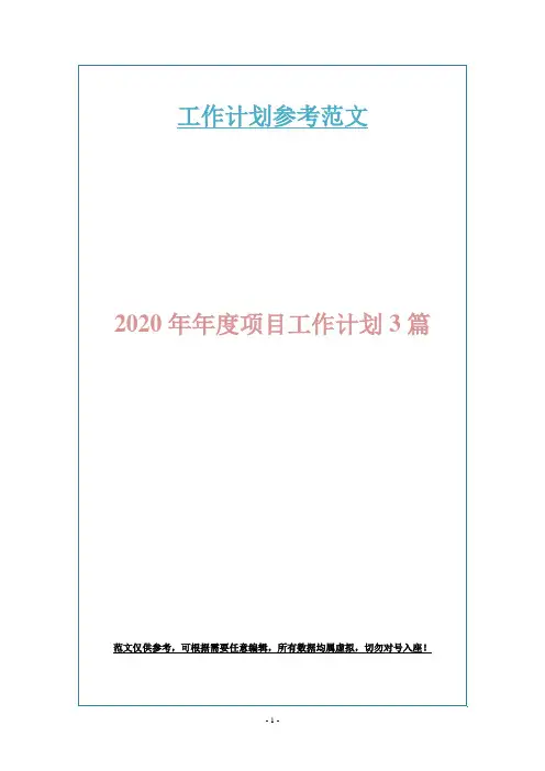 2020年年度项目工作计划3篇