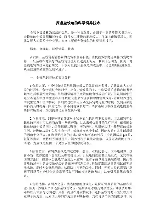 探索金钱龟的科学饲养技术