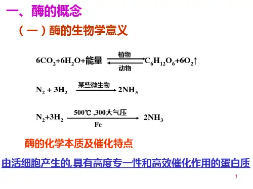 生物化学酶ppt课件