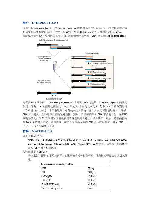 无缝克隆,同源重组克隆
