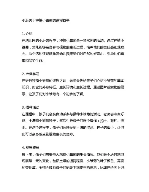 幼儿园小班关于种植小雏菊的课程故事