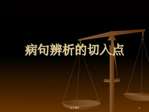 《病句辨析的切入点》PPT课件