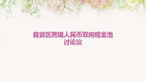自贸区跨境人币民双向现金池讨论议题