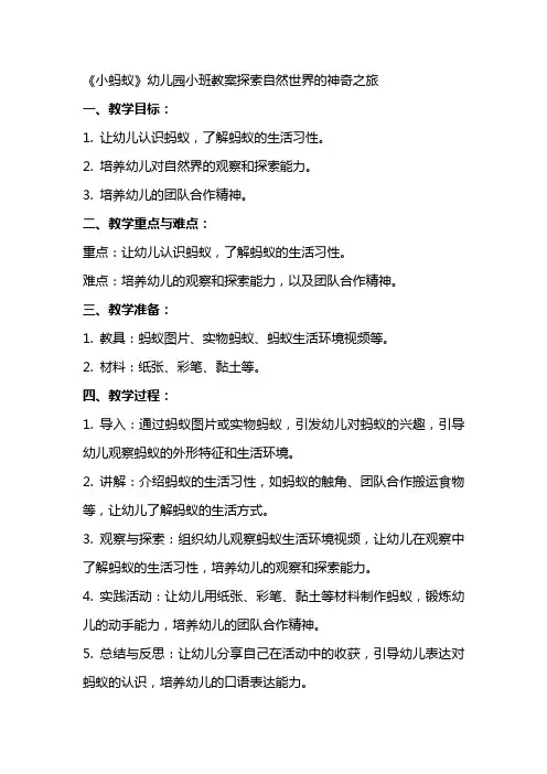 《小蚂蚁》幼儿园小班教案探索自然世界的神奇之旅