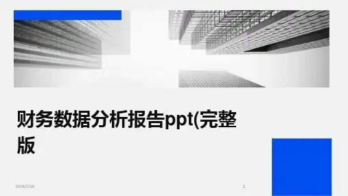 2024版财务数据分析报告ppt(完整版