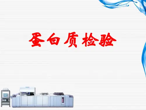 蛋白质检验-精品医学课件