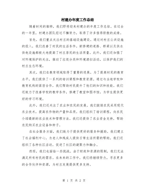 村建办年度工作总结