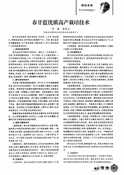 春甘蓝优质高产栽培技术