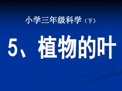 三年级上册科学课件-1.5植物的叶 教科版(共17张PPT)