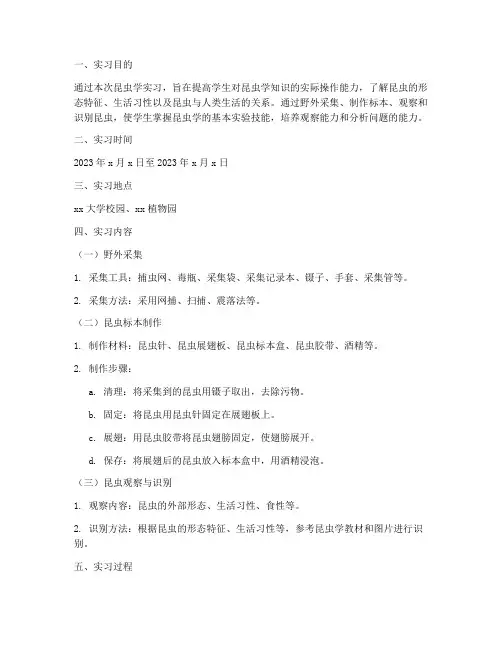 昆虫学实习实验报告