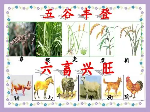 必修二专题一1古代中国的农业经济(复习)