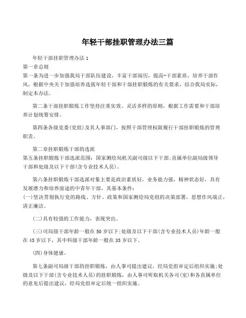 年轻干部挂职管理办法三篇