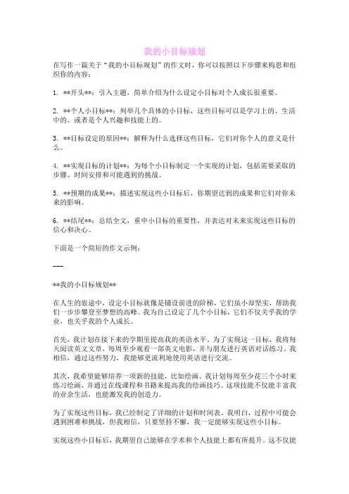我的小目标规划