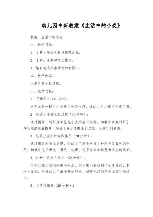 幼儿园中班教案《生活中的小麦》
