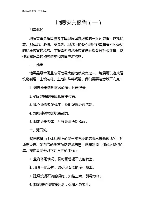 地质灾害报告(一)2024