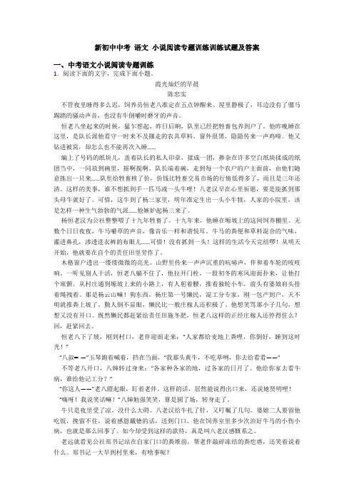 新初中中考 语文 小说阅读专题训练训练试题及答案