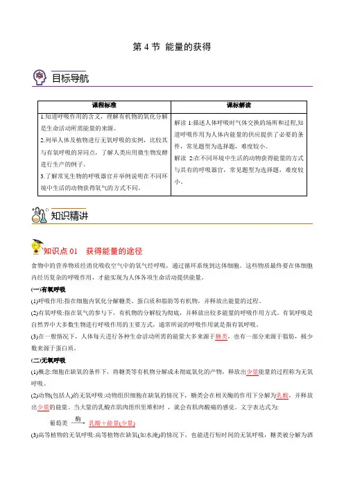2022年初中科学同步讲义(浙教版) 九年级上册 第4章 第4节 能量的获得(教师版)