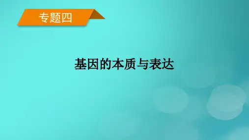  2023版高考生物二轮总复习 专题4 基因的本质与表达 第1讲 DNA是主要的遗传物质课件