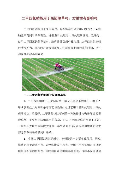 二甲四氯钠能用于果园除草吗,对果树有影响吗