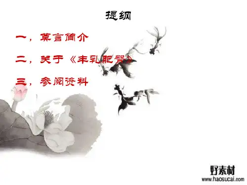 《丰乳肥臀》课件