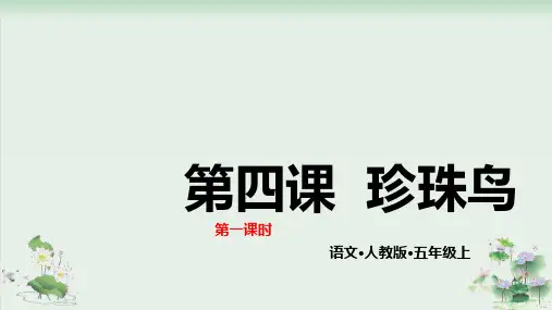 (部编版)小学语文五级上册《珍珠鸟》PPT完美课件