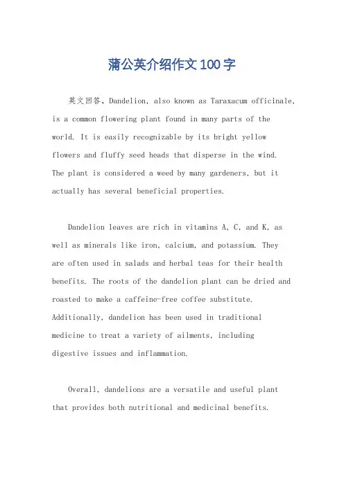 蒲公英介绍作文100字