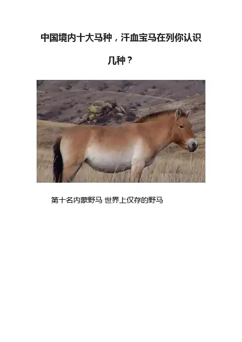 中国境内十大马种，汗血宝马在列你认识几种？